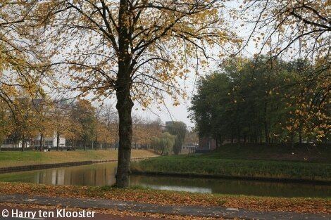 29-10-2012_weerfoto_burgemeester_drijbersingel.jpg